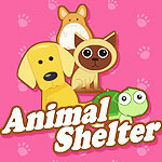 Animal Shelter