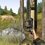 Bow Hunter - Target Challenge
