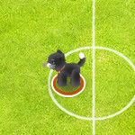 Pet Soccer