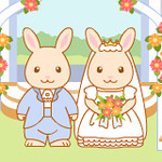 Rabbit Wedding
